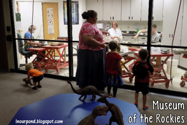Family-Friendly Attractions- Museum of the Rockies in Bozeman, MT from In Our Pond #museumwithkids #travelwithkids #roadtrip #travel #montana #montanawithkids #kidfriendly #roadtripwithkids #dinosaurs #dinosaurmuseum