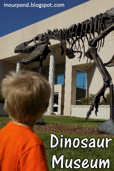 Family-Friendly Attractions- Museum of the Rockies in Bozeman, MT from In Our Pond #museumwithkids #travelwithkids #roadtrip #travel #montana #montanawithkids #kidfriendly #roadtripwithkids #dinosaurs #dinosaurmuseum