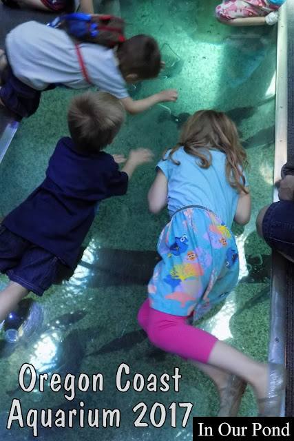 Family-Friendly Attractions on the Oregon Coast   #road trips  #kids  #family  #vacation  #oregon