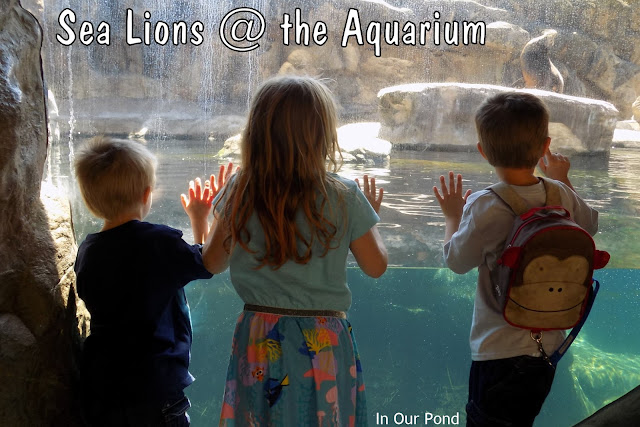 Family-Friendly Attractions on the Oregon Coast   #road trips  #kids  #family  #vacation  #oregon