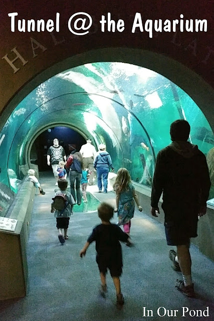 Family-Friendly Attractions on the Oregon Coast   #road trips  #kids  #family  #vacation  #oregon