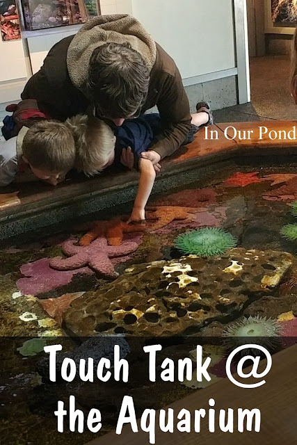 Family-Friendly Attractions on the Oregon Coast   #road trips  #kids  #family  #vacation  #oregon