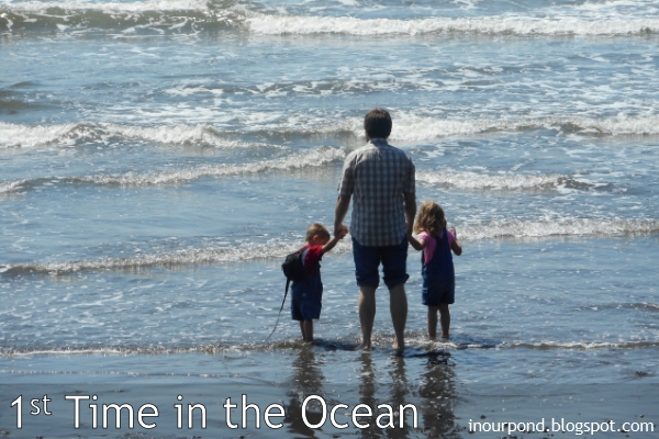 Olympic Penninsula with 3 Kids Under 4 from In Our Pond #travel #pacificnorthwest #roadtrip #travelwithkids #seattle #oceanwithkids #orca #ocean #beachtrip