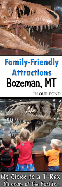 Family-Friendly Attractions- Museum of the Rockies in Bozeman, MT from In Our Pond #museumwithkids #travelwithkids #roadtrip #travel #montana #montanawithkids #kidfriendly #roadtripwithkids #dinosaurs #dinosaurmuseum